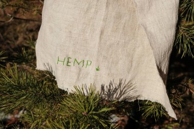 Ormandaki bir çam ağacının dalında asılı haşlanmış kenevir kumaşı. Kenevir kelimesi tuvale yeşil harflerle işlenmiş. Güneş ışığı kumaşın dokusunu gösteriyor. Sürdürülebilir yaşam tarzı. Boşluğu kopyala.