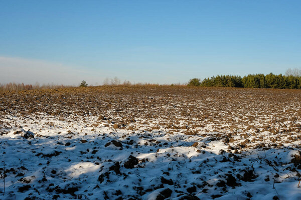 Пшеничное поле к горизонту слегка покрыто снегом.