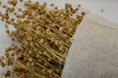 Doğal boyanmamış keten tuval ya da kumaş, keten bitkiler. Kumaş dikin. Sürdürülebilir yaşam tarzı. Boşluğu kopyala.