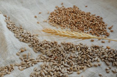 Tahıl kulağı, ayçiçeği tohumu ve buğday kabuklu ev yapımı kenevir bezi..