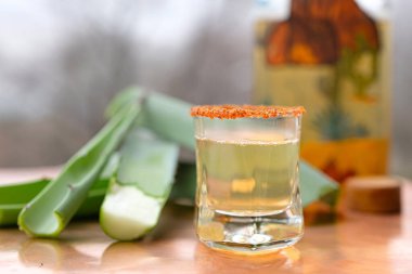 Agave yapraklı Mezcal Meksika içkisi ve bulanık Mezcal şişesi. Bakır yüzey. Sisli, bulanık bir arka plan. Yüzeyin derinliği. Boşluğu kopyala.