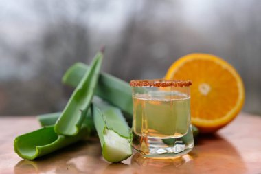 Mezcal Meksika içeceği ve solucan tuzu. Agave yaprakları, portakal dilimi. Bakır yüzey. Sisli doğa arkaplanı bulanık.
