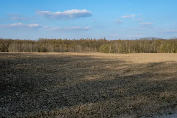 Ormanın önündeki ekili arazinin tarlası. Çamur zengini ya da ağır toprak. Kuru, kümelenmiş ve sıkıştırılmış toprak. Boşluğu kopyala.