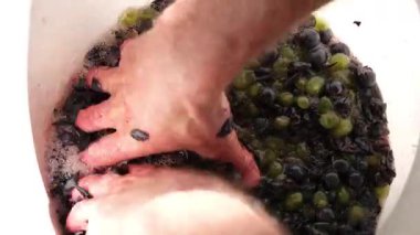 Şarap yapımı. Erkeklerin elleri şarap için üzümleri ezer. Evde üzüm şarabı yapıyorum..