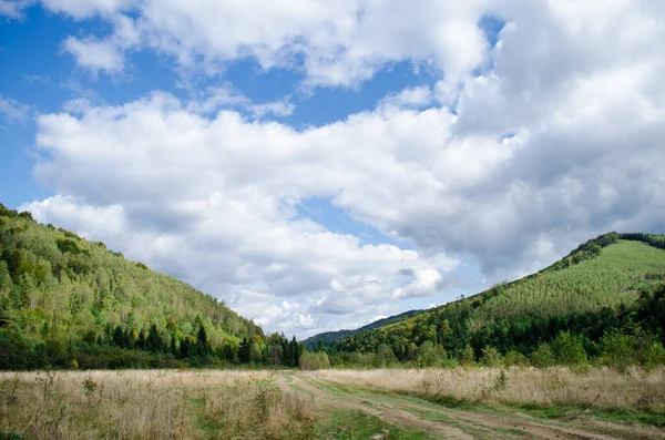 stock image Beautiful slopes of the Carpathian Mountains in Ukraine, dotted with forests and bare valleys at the site of deforestation.