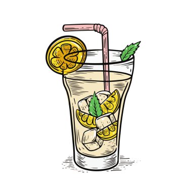 Limonlu limonata ve naneli. El çizimi taslak biçim vektör çizimi.