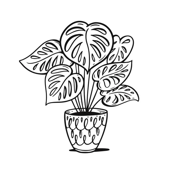 Pflanze Topf Innendekor Schwarze Farbe Skizze Stil Vektorillustration Isoliert Auf — Stockvektor