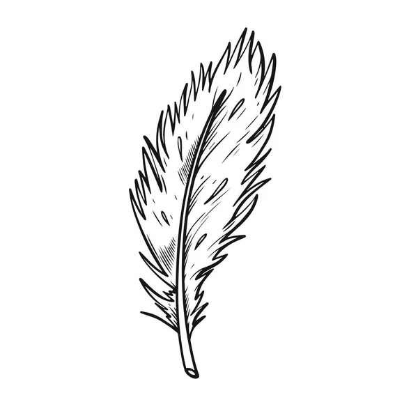 Feather Black Color Outline Style Vector Art Illustration Isolated White — Stock Vector