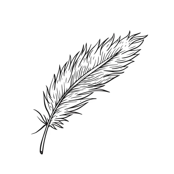 Hand Drawn Feather Sign Black Color Sketch Style Vector Art — Stock Vector