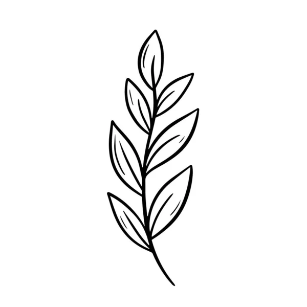 Line Art Branch Leaves Nature Vector Illustration Isolated White Background — Stock Vector