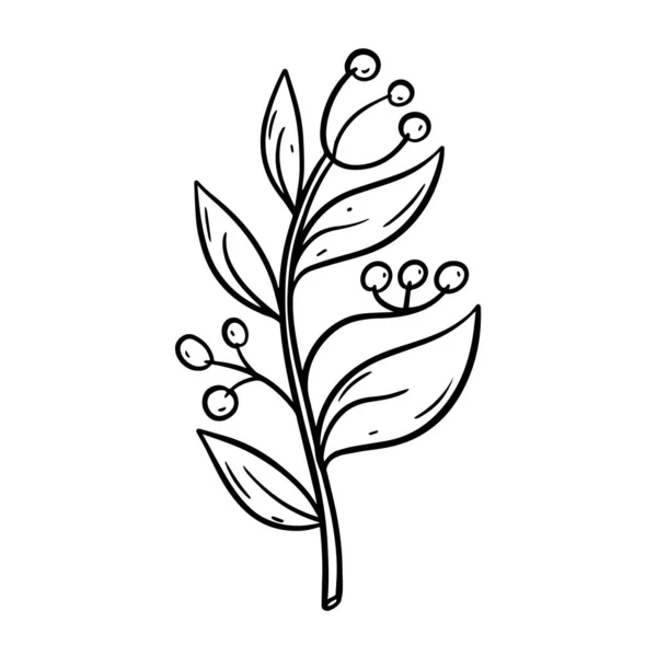 Hand Drawn Outline Sketch Branch Flower Sign Logo Vector Art — Stock Vector