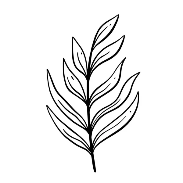 Einzeiliger Zweig Blume Schwarz Farbe Vektor Kunst Illustration Logo Isoliert — Stockvektor