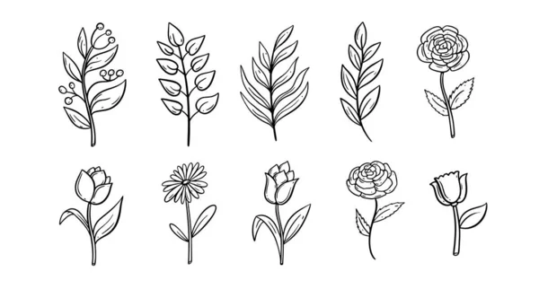 Květiny Větev Nastavit Linii Umění Styl Černé Barevné Vektorové Ilustrace — Stockový vektor