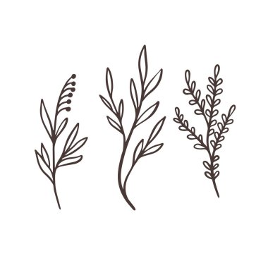 Çiçek süsleme unsurları dizildi. Çizgi düz çizgili vektör çizimi. Beyaz arkaplanda izole.