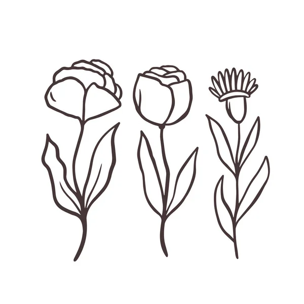 Ručně Kreslené Čáry Umění Minimalistické Květiny Set Květinové Prvky Vektorové — Stockový vektor