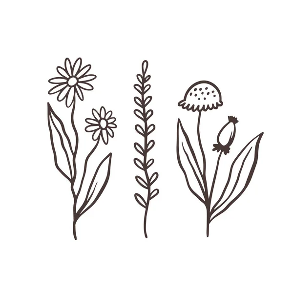 Virágkötészeti Virágdíszlet Kézzel Rajzolt Monokróm Lapos Vektor Illusztráció Fehér Alapon — Stock Vector