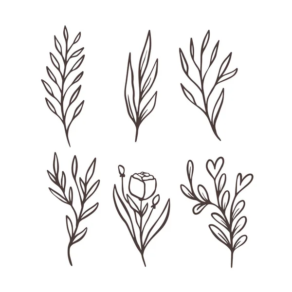 Monochrome Line Art Drawing Style Branches Flowers Set Outline Objects — Stock Vector