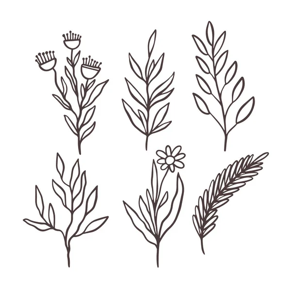 Ручной Рисунок Цветочной Ветви Минималистского Эскиза Линейная Плоская Векторная Иллюстрация — стоковый вектор