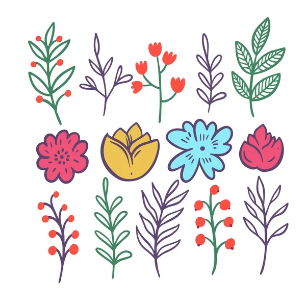 Абстрактная Ботаническая Ветвь Набора Красочных Плоских Векторных Иллюстраций Изолированный Белом — стоковый вектор
