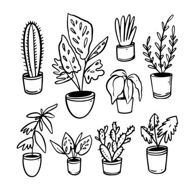 Çanak çömlek içinde elle çizilmiş tek renkli çiçekler. Dekorasyon ev bitkisi beyaz arkaplanda izole.