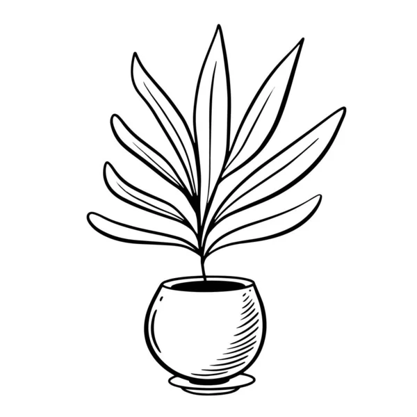 Ręcznie Rysowane Rośliny Garnku Wystrój Wnętrz Botaniczny Znak Wektor Ilustracji — Wektor stockowy