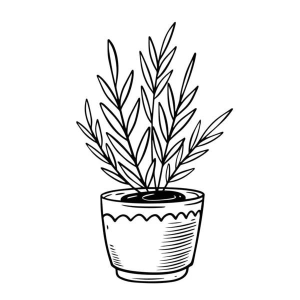 観葉植物のサインモノクロアウトラインスタイル フラットベクトルイラスト 白地に隔離された — ストックベクタ