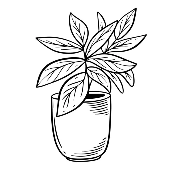 Flower Plant Pot Sign Line Art Sketch Style Vector Illustration — Stock Vector