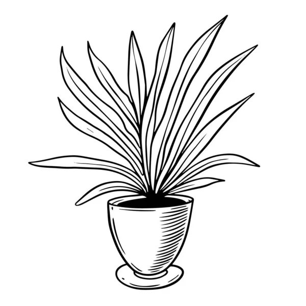 鍋に黒の家庭用植物を手描き 白地に隔離されたベクトルアートイラスト — ストックベクタ