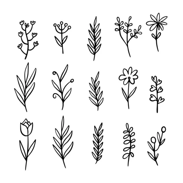 Botanické Květiny Nastavit Ručně Kreslené Čáry Umění Styl Vektorové Ilustrace — Stockový vektor