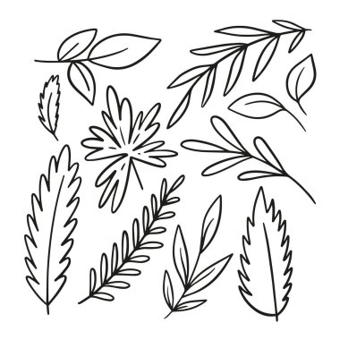 El çizimi sanat tabelaları sonbahar yapraklarını ve yapraklarını yerleştirdi. Siyah renk vektör çizimi beyaz arkaplanda izole edildi.