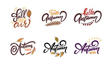 Poster tasarımı için sonbahar cümleleri ayarlandı. El çizimi renkli yazı sezonu tatili. Beyaz arkaplanda vektör ortamı izole edildi.