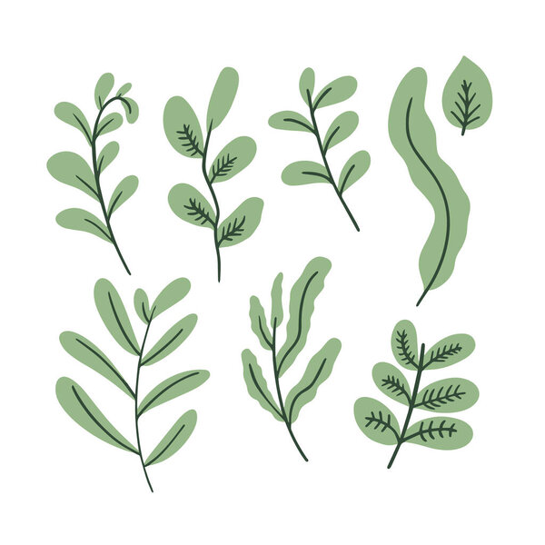 Набор зеленых листьев леса или знак ветвей. Ручное рисование векторного клипарта в стиле мультфильма. Изолированный на белом фоне.