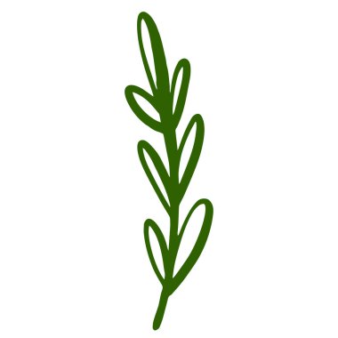 Biberiye filizinin güzel stilize edilmiş bir çizimi, hem aşçılık hem de bitkisel tasarım temalarını geliştirmek için ideal.