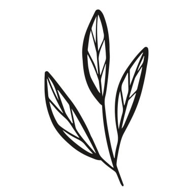 Bu, doğa temalı tasarımlar ve sanat eserlerinde kullanmak için ideal üç zarif yaprağın yer aldığı minimalist bir illüstrasyondur.