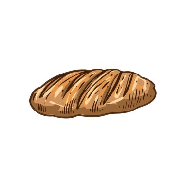 Taze pişmiş bir somun ekmeğin detaylı ve canlı bir çizimi, çeşitli mutfak temaları ve kullanımları için ideal.