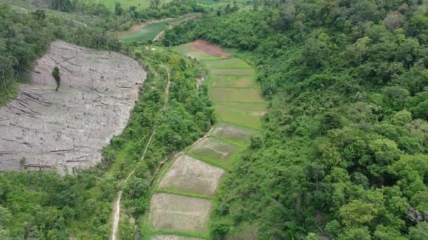 Omkoi Bölgesi Kuzey Tayland Güzel Bir Dağ Orman Bölgesine Kurulmuştur — Stok video