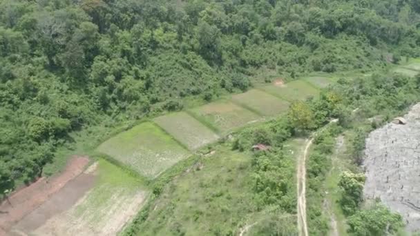 Omkoi District Est Niché Dans Une Belle Région Montagneuse Forestière — Video