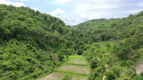 Omkoi Bölgesi Kuzey Tayland Güzel Bir Dağ Orman Bölgesine Kurulmuştur — Stok video