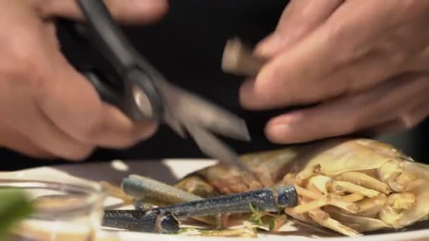 Chef Snijdt Grote Riviergarnalen Met Zijn Blote Handen Keukenschaar — Stockvideo