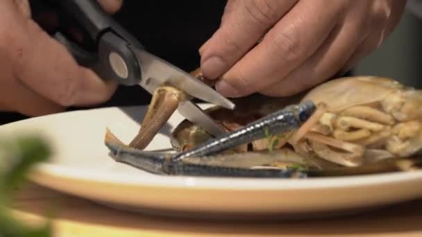厨师正在用他的赤手空拳和厨房剪刀切大虾 — 图库视频影像