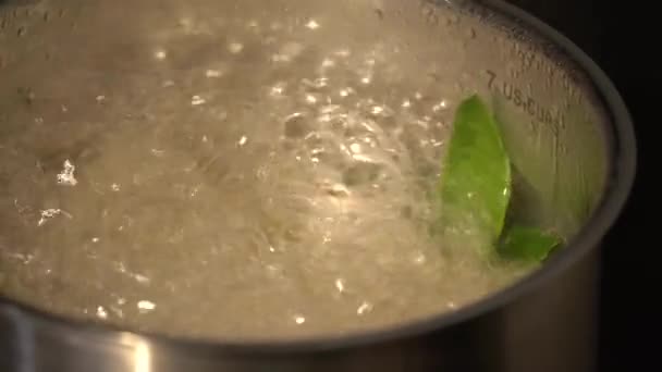 ココナッツミルクでタイチキンスープを調理 煮込み鍋に具材とソースを入れる — ストック動画