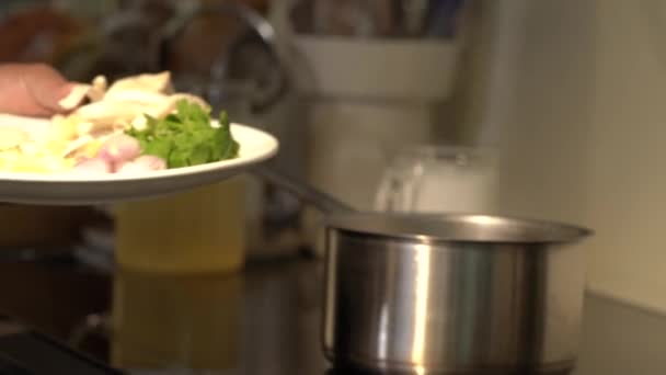 Hindistan Cevizli Sütle Tayland Usulü Tavuk Çorbası Pişiriyorum Çindekileri Sosu — Stok video
