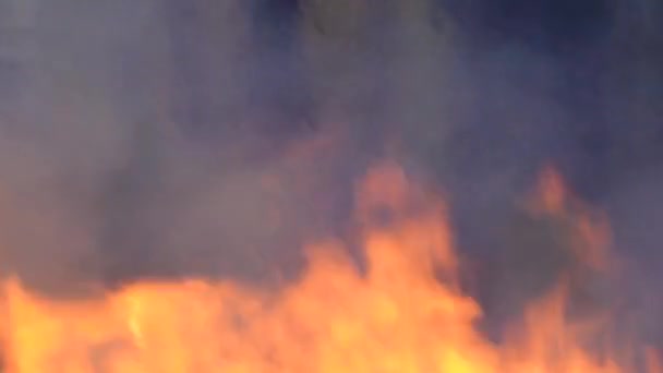 火災は 火災からの火花が示すように 継続的に燃焼します 炎や熱の背景や動的パワーの背景のために — ストック動画