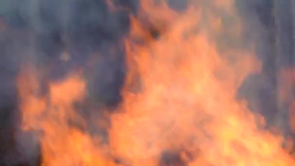 Ogień Płonie Nieprzerwanie Jak Pokazuje Iskra Pożaru Tła Płomienia Ciepła — Wideo stockowe