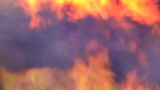 Das Feuer Brennt Ununterbrochen Wie Der Funke Des Feuers Zeigt — Stockvideo
