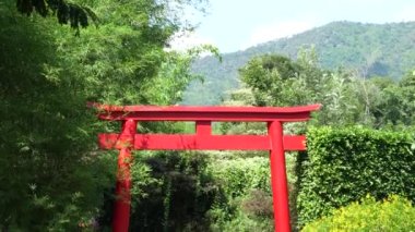Bekar Japon ruhani, geleneksel kırmızı direkli bambu ağacı ve diğer ağaç öğlen vakti bahçede..