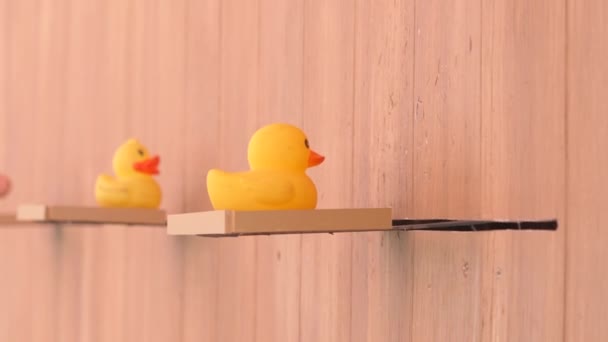 Hračky Dřevěné Desce Které Jsou Žlutá Gumová Kachna Bílá Ovce — Stock video