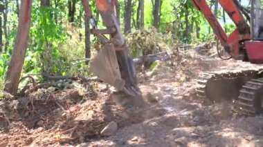 Hidrolik kazıcı, açık gökyüzünün altında bir sürü ağaçla çevrili bir inşaat alanında toprak kazıyor. Pençe kepçesi ağaç gölgesinin altında..