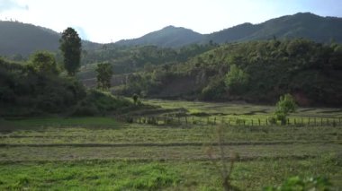 Tayland 'ın kuzeyinde, Omkoi bölgesinde, Chiang Mai bölgesinde, mavi bulutlu ve güneş ışığıyla yeşil dağların arasındaki teraslı tarım alanının havadan görünüşü.