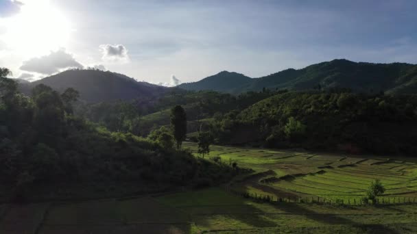 緑の山の間の段々畑の空中風景 タイ北部の青い雲と太陽の光 オムコイ地区 チェンマイ — ストック動画